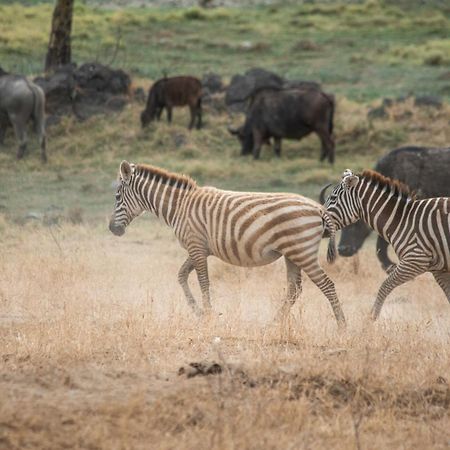 Sarova Lion Hill Game Lodge Nakuru Exterior photo